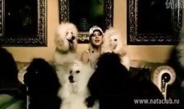 娜塔莉 在线观看,揭秘神秘女王的在线传奇之旅